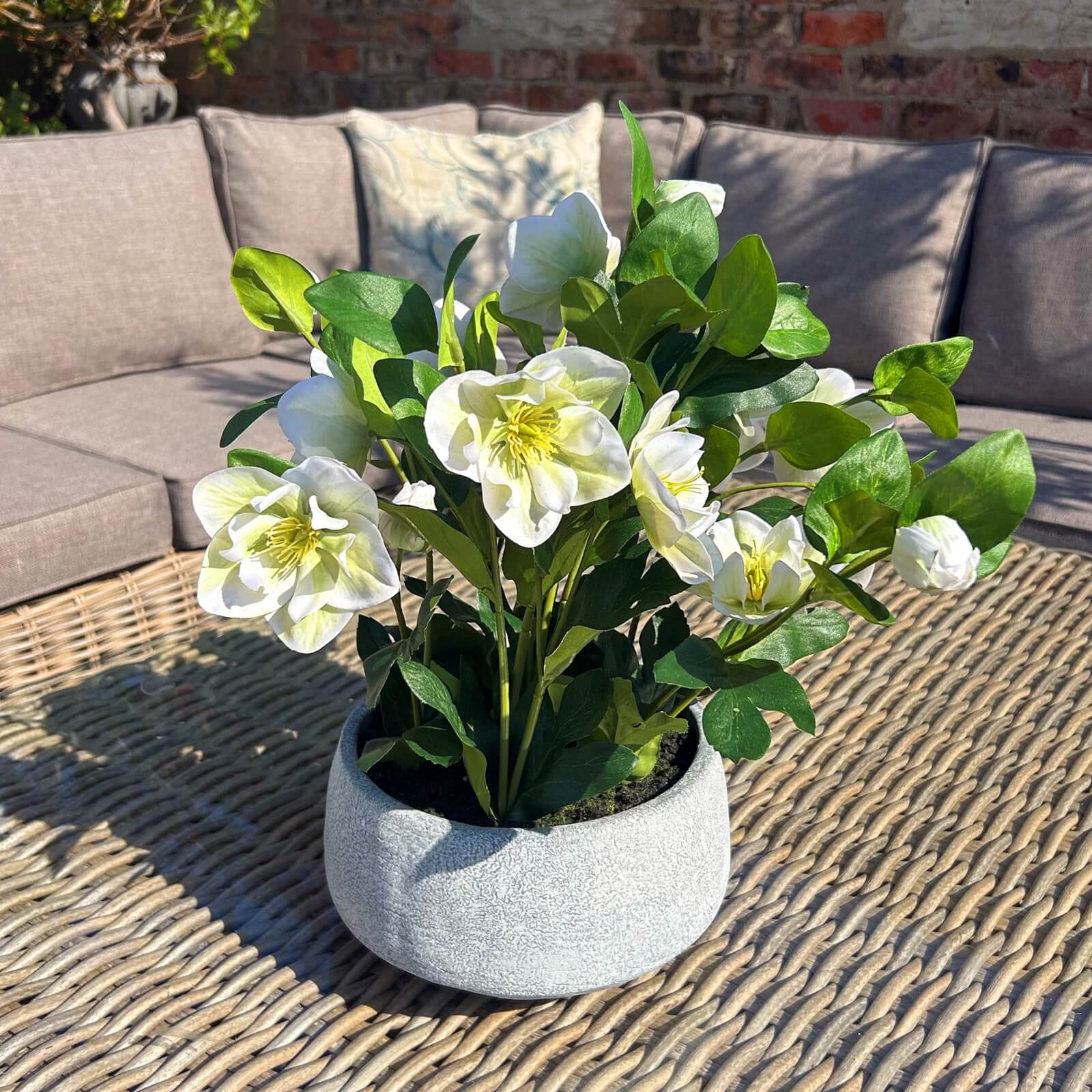 Faux White Hellebore in Ceramic Pot