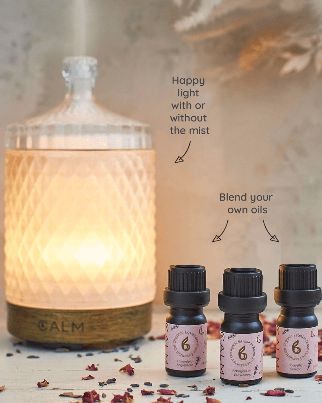Geo Cut Glass Aroma Diffuser with Rest Calm Oil Set
