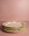 Cara Shell Dinner Plate, Green Set of 4