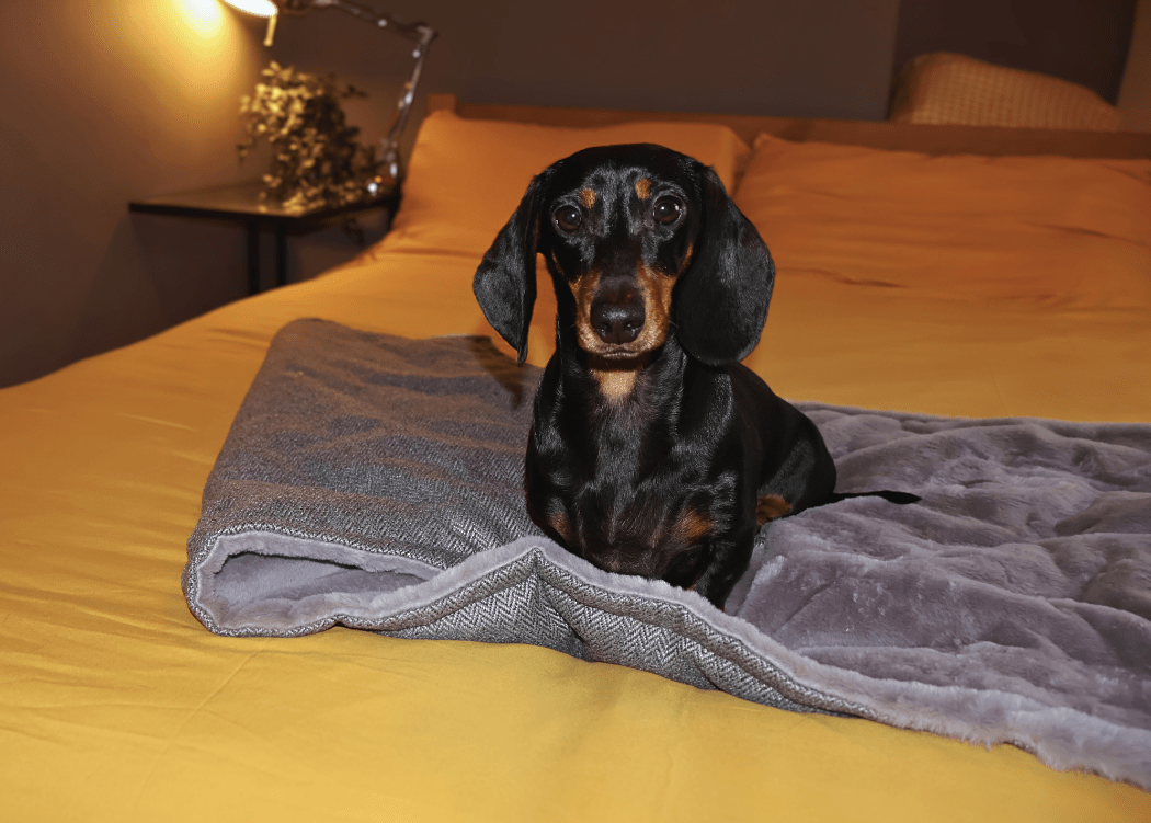 THE BALMORAL | LUXURY GREY HERRINGBONE &amp; FAUX FUR REVERSIBLE DOG BLANKET