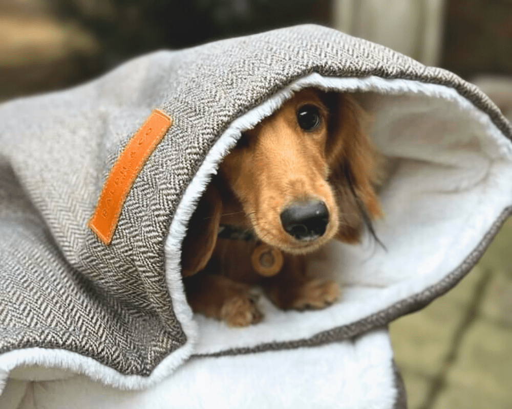 THE LINCOLN | LUXURY TWEED &amp; FAUX FUR REVERSIBLE DOG BLANKET