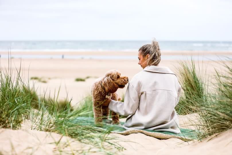 THE RICHMOND | LUXURY GREEN STONEWASHED &amp; SHERPA REVERSIBLE DOG BLANKET