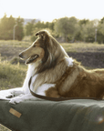 THE RICHMOND | LUXURY GREEN STONEWASHED & SHERPA REVERSIBLE DOG BLANKET