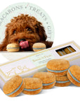 Dog Macarons Box of 6