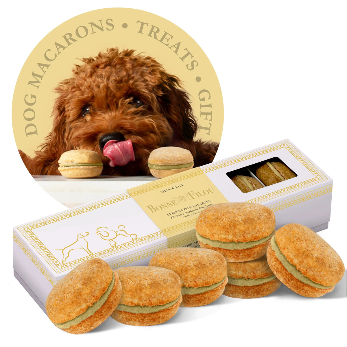 Dog Macarons Box of 6