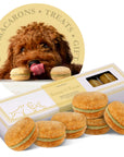 Dog Macarons Box of 6