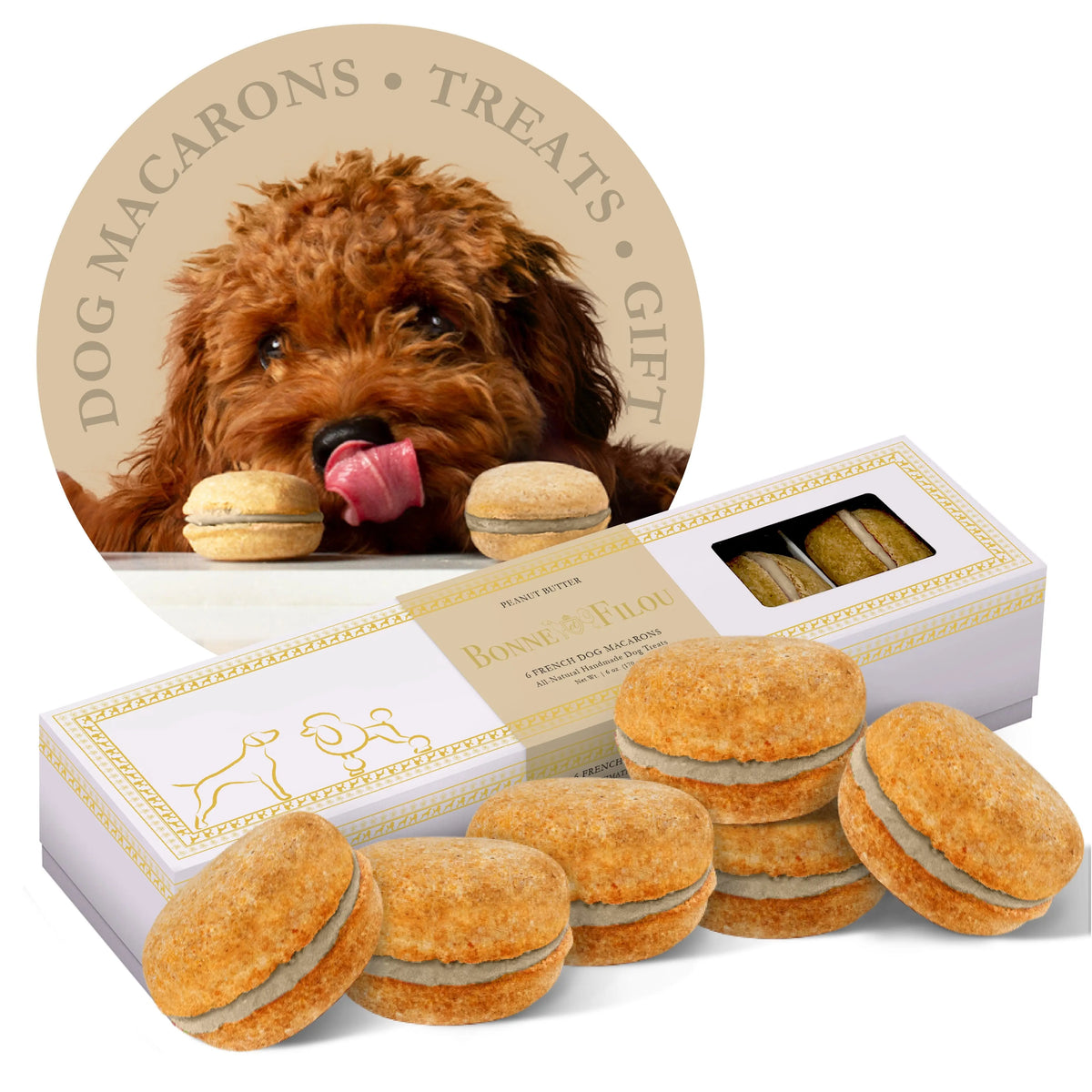 Dog Macarons Box of 6