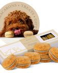 Dog Macarons Box of 6