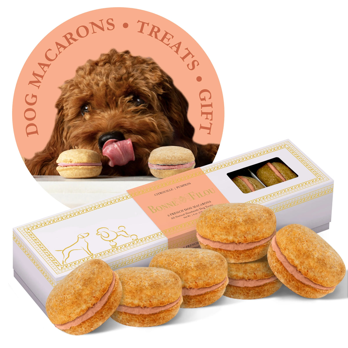 Dog Macarons Box of 6
