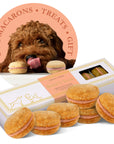Dog Macarons Box of 6