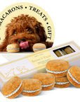 Dog Macarons Box of 6