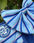 Dog Sailor Bow -  Sea Breeze Stripes