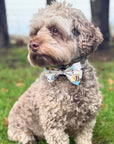 Dog Bow Tie - Bee-Utiful Summer
