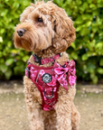 Dog Sailor Bow -  Burgundy Bloom