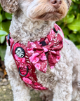 Dog Sailor Bow -  Burgundy Bloom