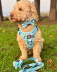 Dog Bow Tie -  Jurassic Party