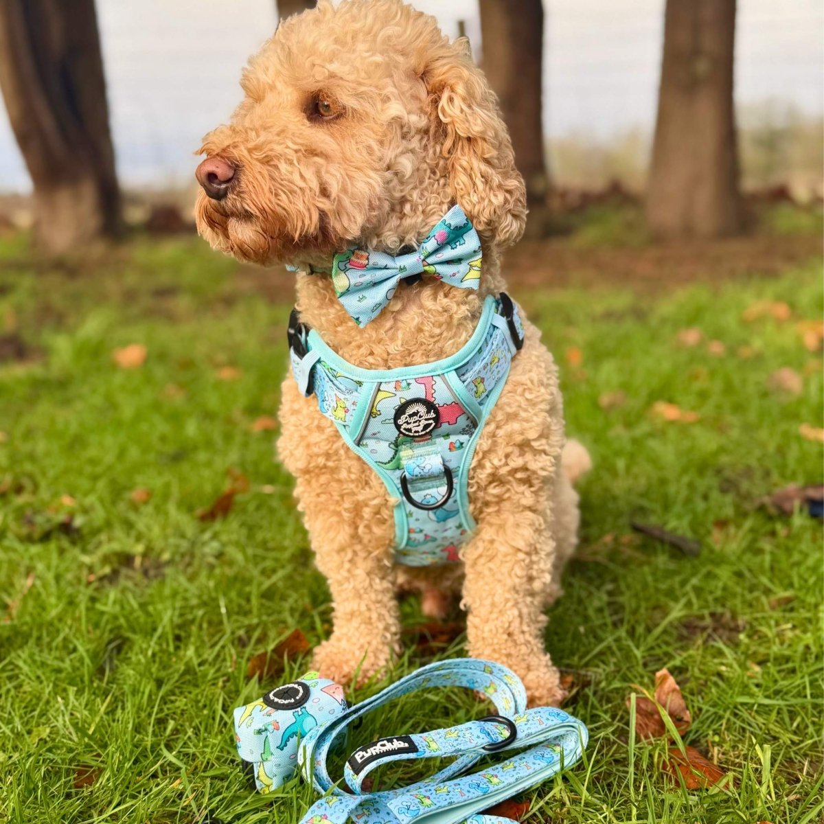 Rugged Rover™ Harness - Jurassic Party