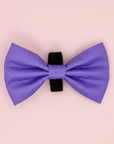 Dog Bow Tie - Lilac Blush