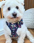 Dog Sailor Bow -  Summer Meadow