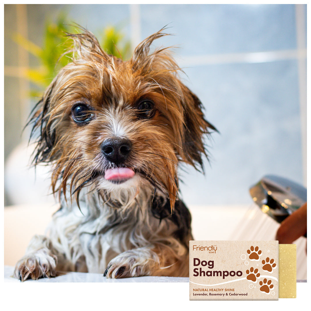Dog Shampoo - Lavender, Rosemary & Cedarwood