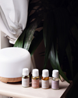 DREAM FRAGRANCE OIL