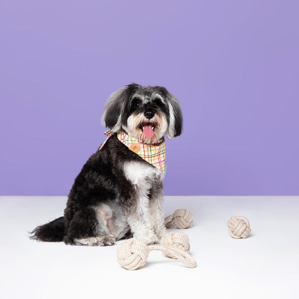 Cotton Rope Ball Toy Set with Travel Bag