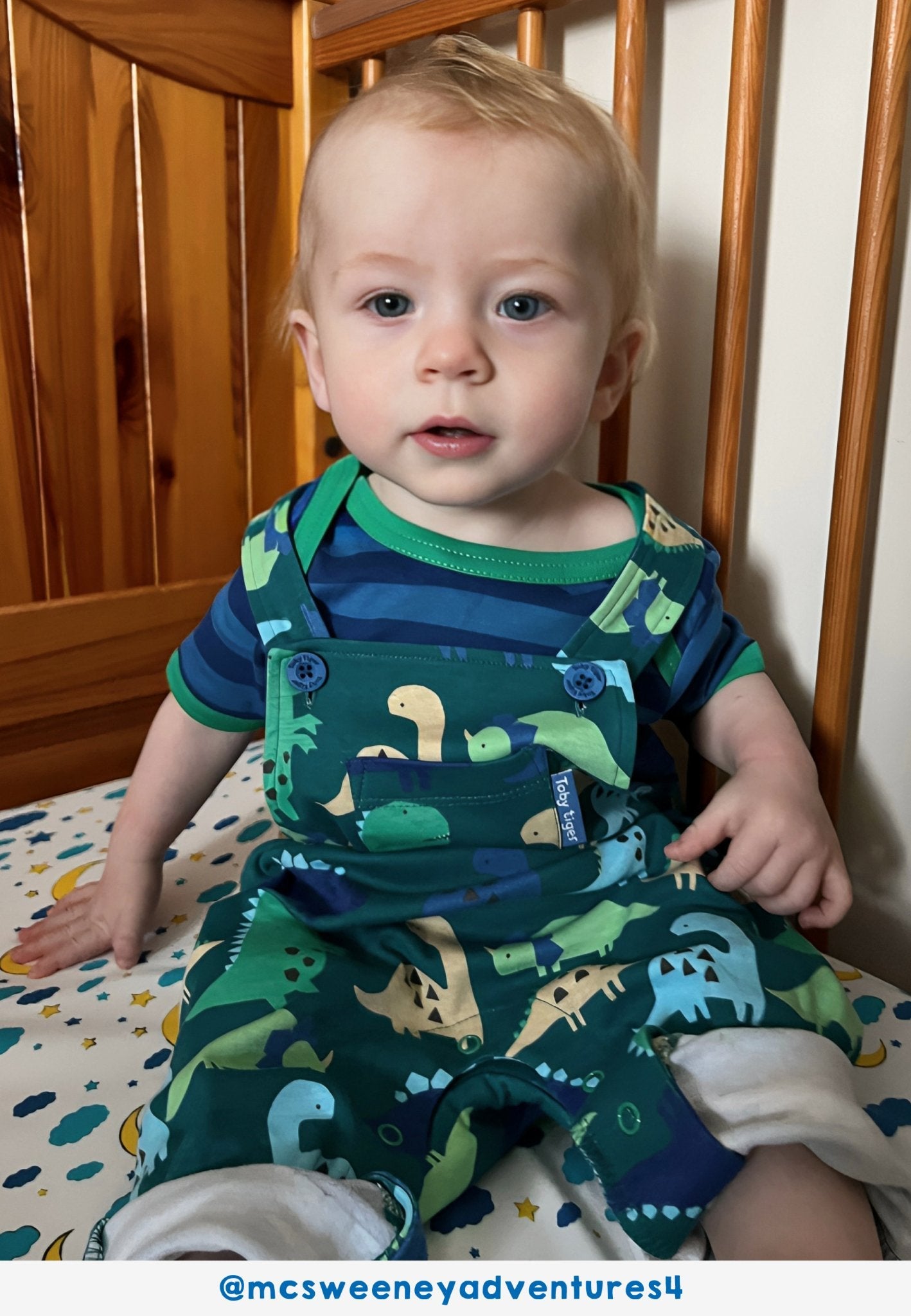 Premium Soft Organic Cotton Dinosaur Print Overalls for Kids - Adjustable Blue Green Gray Romper with Chest Pocket by Toby Tiger at brixbailey.com
