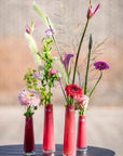 VASE SOLIFLEUR Budvase - RASPBERRY