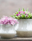 Orchid Pot MARCO - TAUPE BROWN