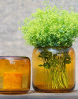 VASE MAZURKA - AMBER by DutZ