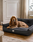 Hano Dog & Cat Bed with Removable Cover – Black, XXXL