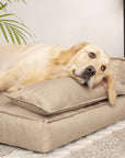 Hano Dog & Cat Bed with Removable Cover – Grey, L