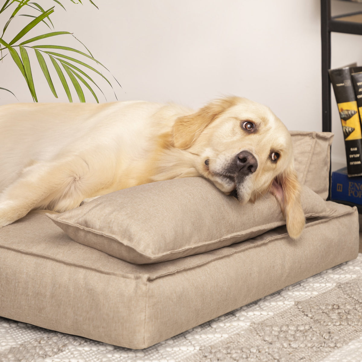 Hano Dog &amp; Cat Bed with Removable Cover – Grey, XL