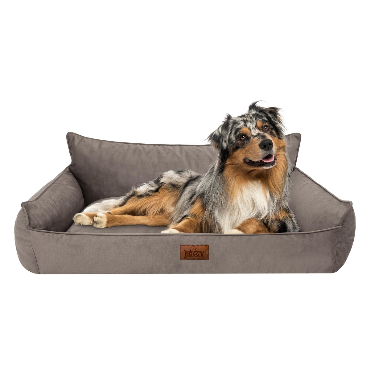 Hano Dog &amp; Cat Bed with Removable Cover – Grey, XXL