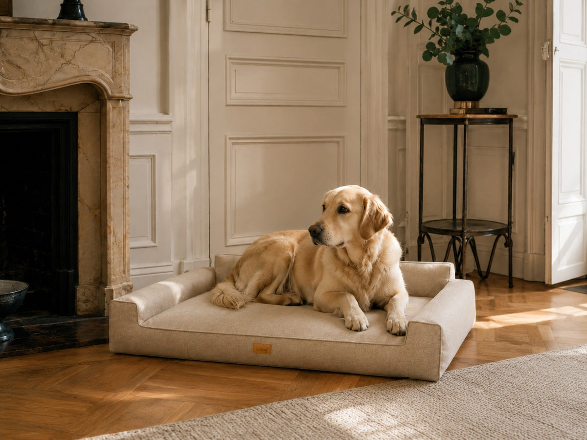 Mano Dog Bed with Removable Cover – Black, XL