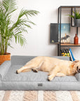 Mano Dog Bed with Removable Cover – Blue, XXL