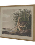 Curlew Coastal Art in Glass Frame