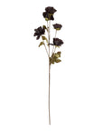 Tall Black Poppy Stem for Dramatic Floral Styling