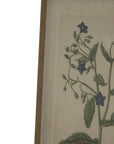 Borage Linen Wall Art with Beaded Wooden Frame