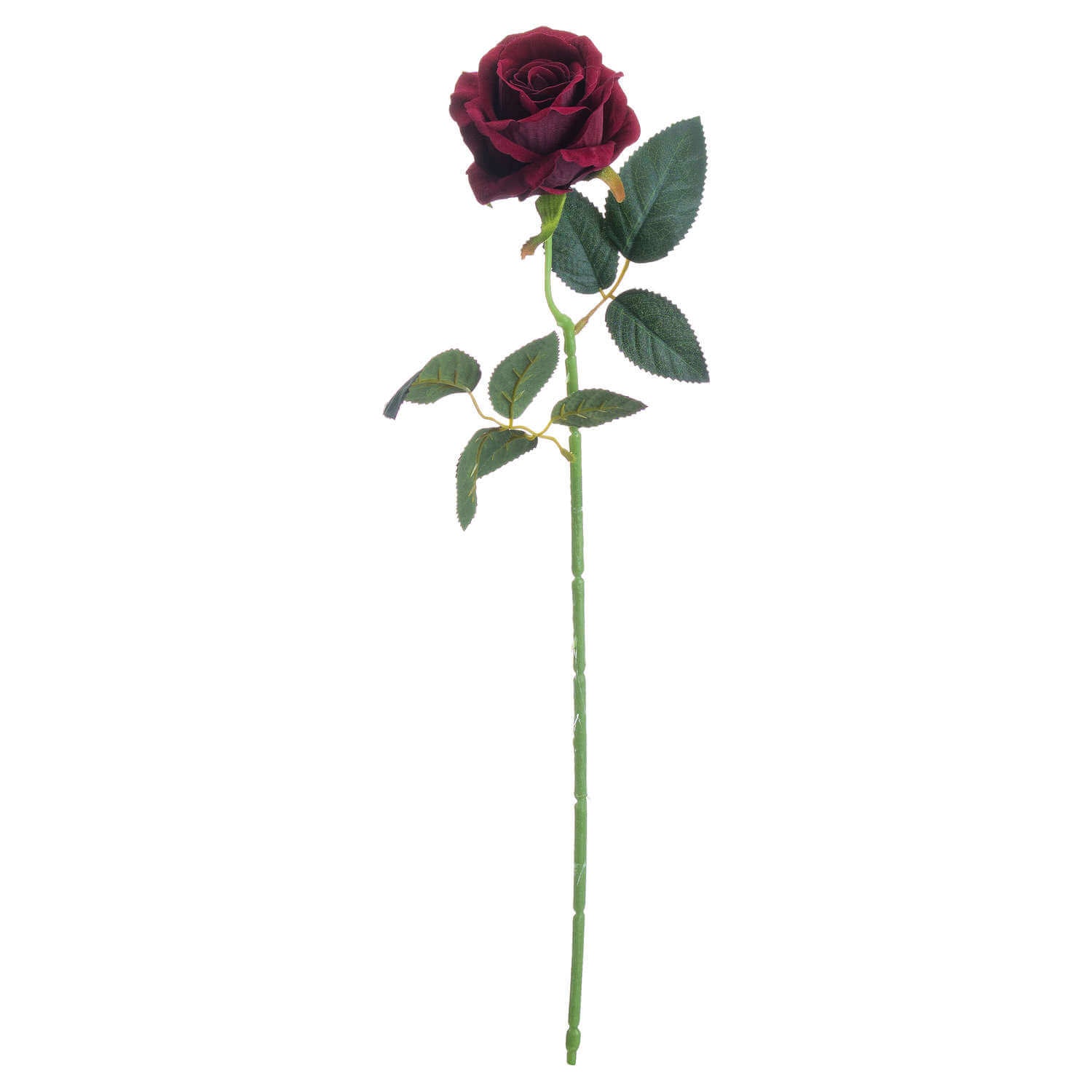 Luxurious Deep Red Rose | Elegant &amp; Timeless