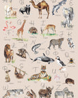 Animal Alphabet Children's Wall Print