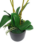 Artificial Orchid Flower 60cm Pink Orchid Arrangement-2