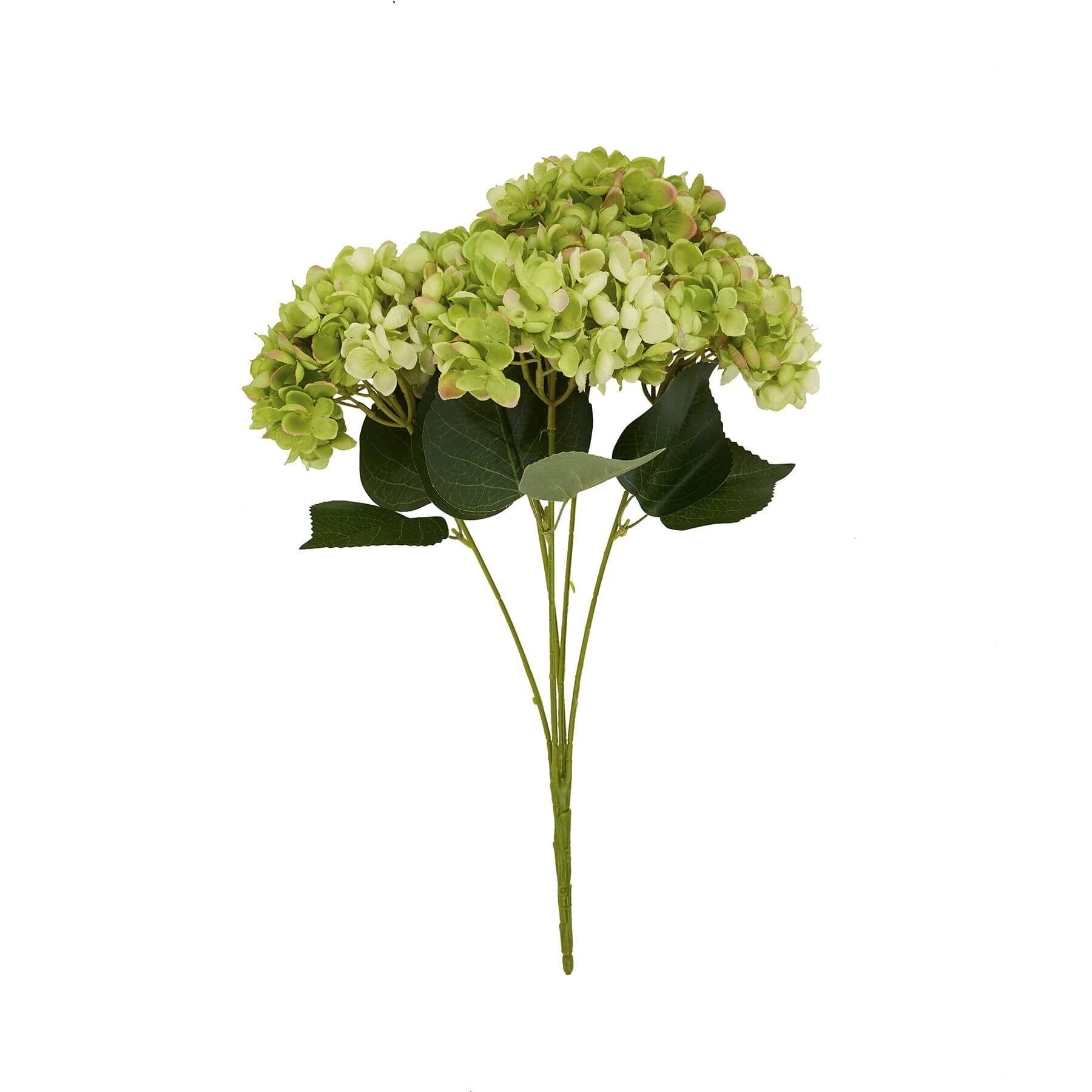 Lush Green Hydrangea Bouquet | Fresh Floral Decor