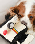 Instant Camera dog enrichment toy