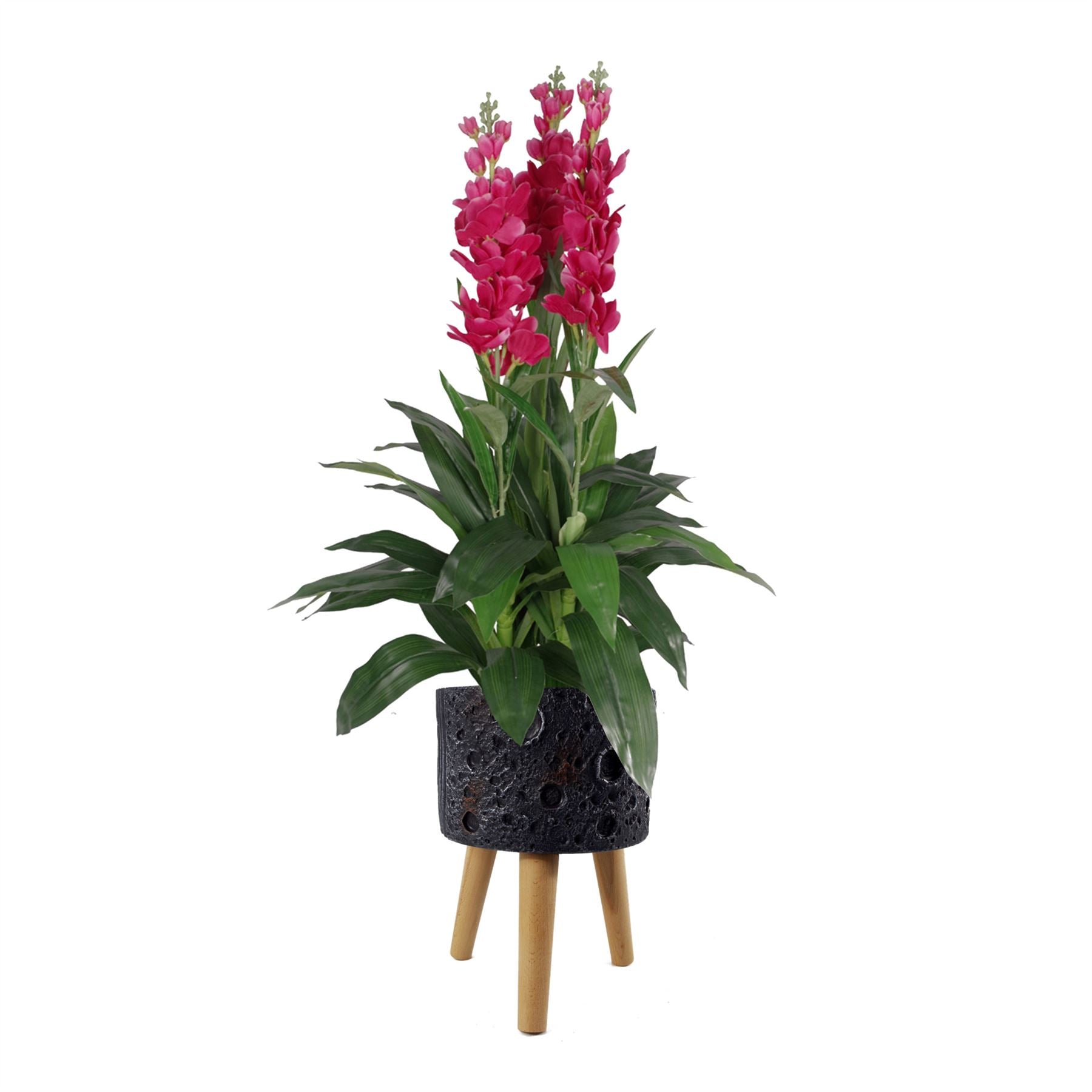 Moon Black Planter-0