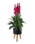 Moon Black Planter-0