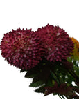 Pack of 6 x 70cm Large Ball Dahlia Artificial Flower Stem Pink-4