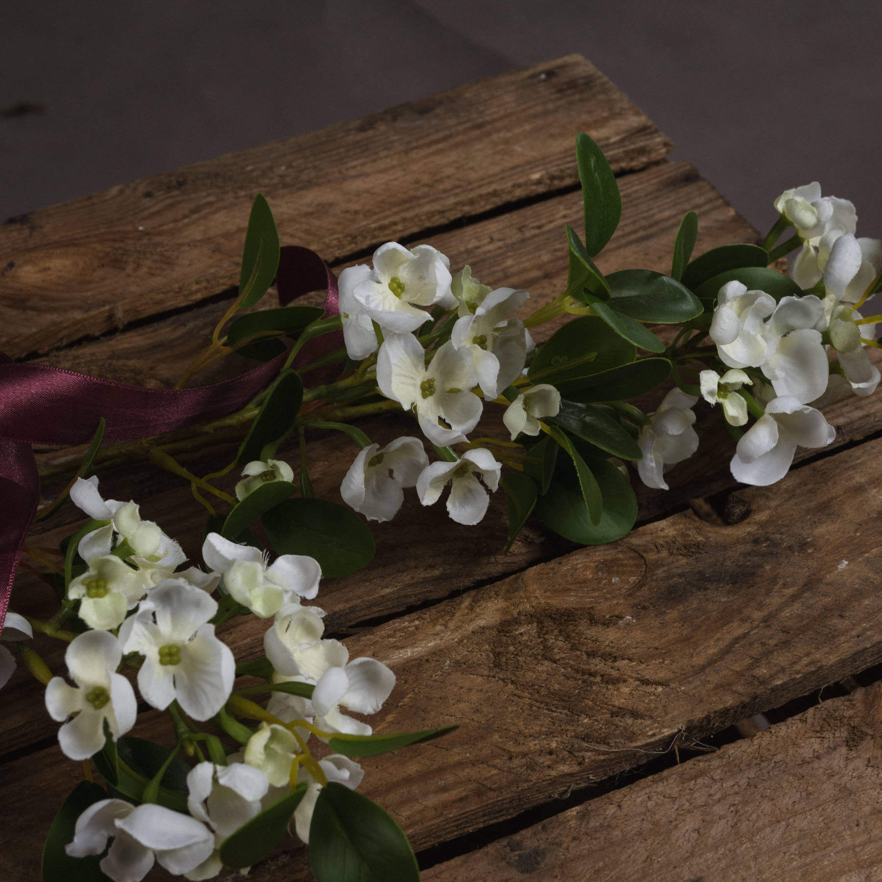 Fragrant White Mock Orange Blossom | Spring Freshness