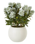 Lush Green Hydrangea Plant | Potted Home Decor