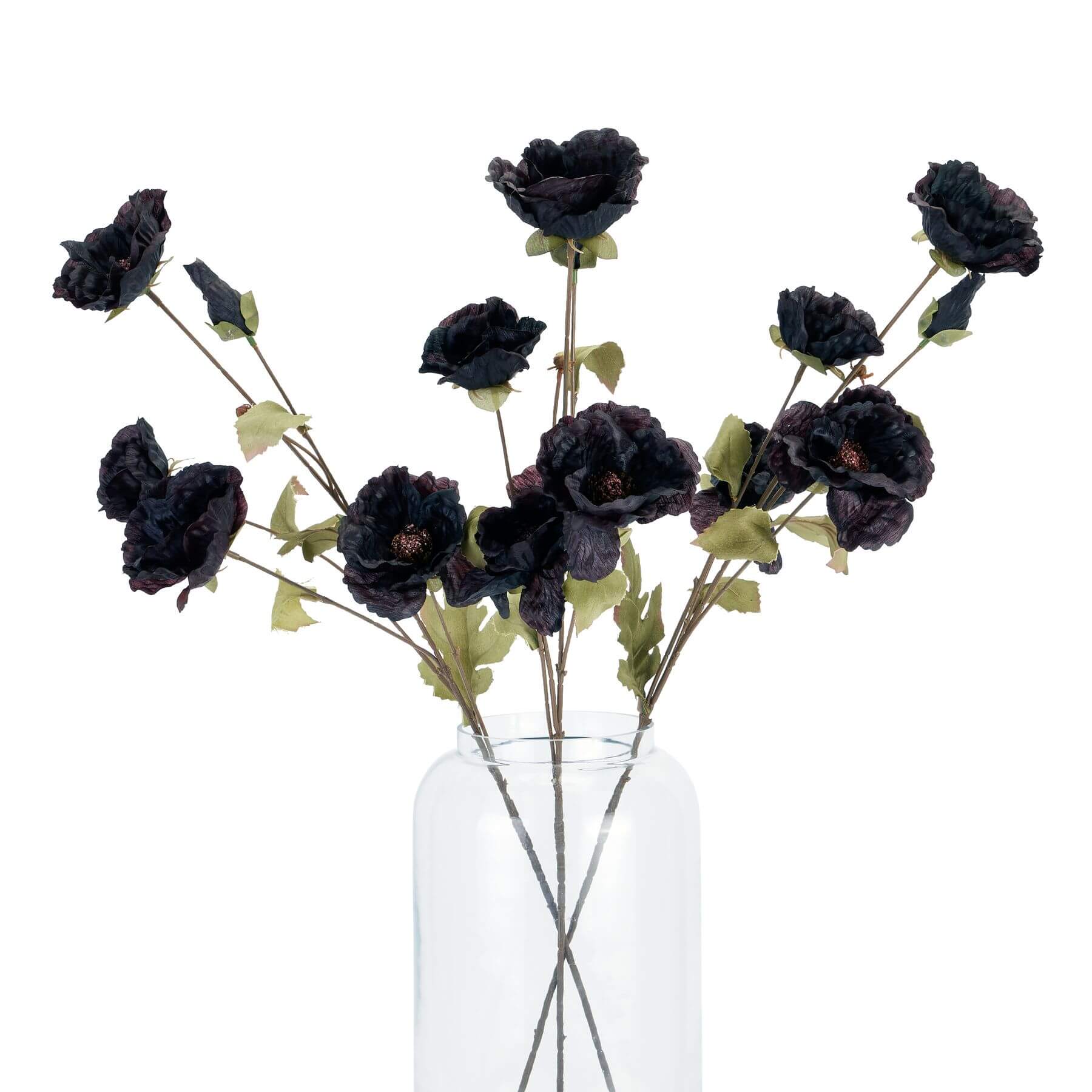 Tall Black Poppy Stem for Dramatic Floral Styling